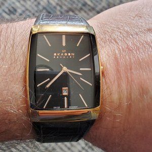 Skagen Denmark Black Label Executive Watch